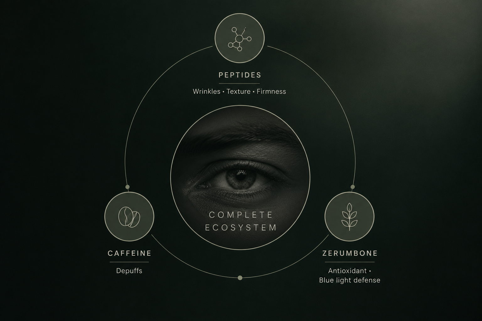 Diagram showing RAWDOG eye cream ingredients: peptides, caffeine, and zerumbone